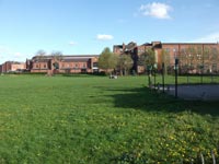 Mesnes Field