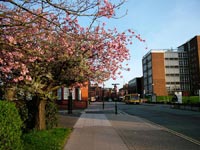 Parson's Walk