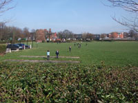 Mesnes Field