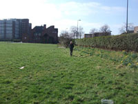 Mesnes Field