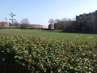 Mesnes Field