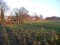 Mesnes Field