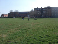 Mesnes Field