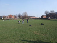 Mesnes Field