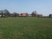 Mesnes Field