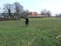 Mesnes Field