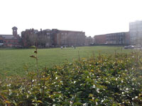 Mesnes Field