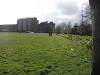 Mesnes Field