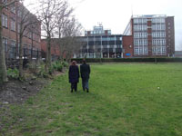 Mesnes Field