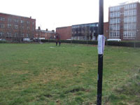 Mesnes Field