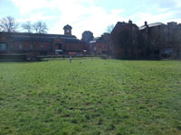 Mesnes Field