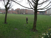 Mesnes Field