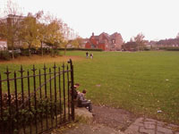 Mesnes Field