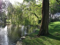 Mesnes Park